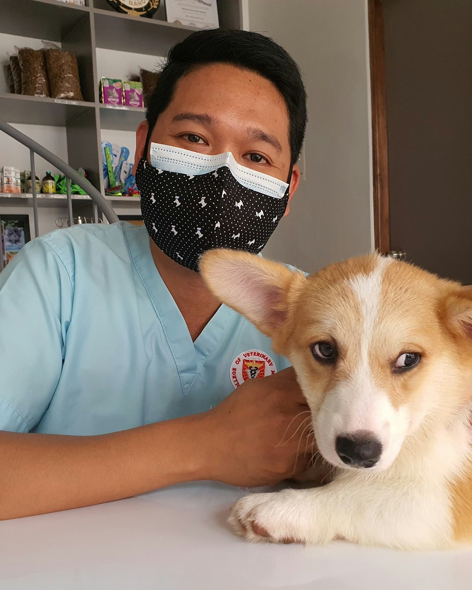 A veterinarian greeting a puppy patient